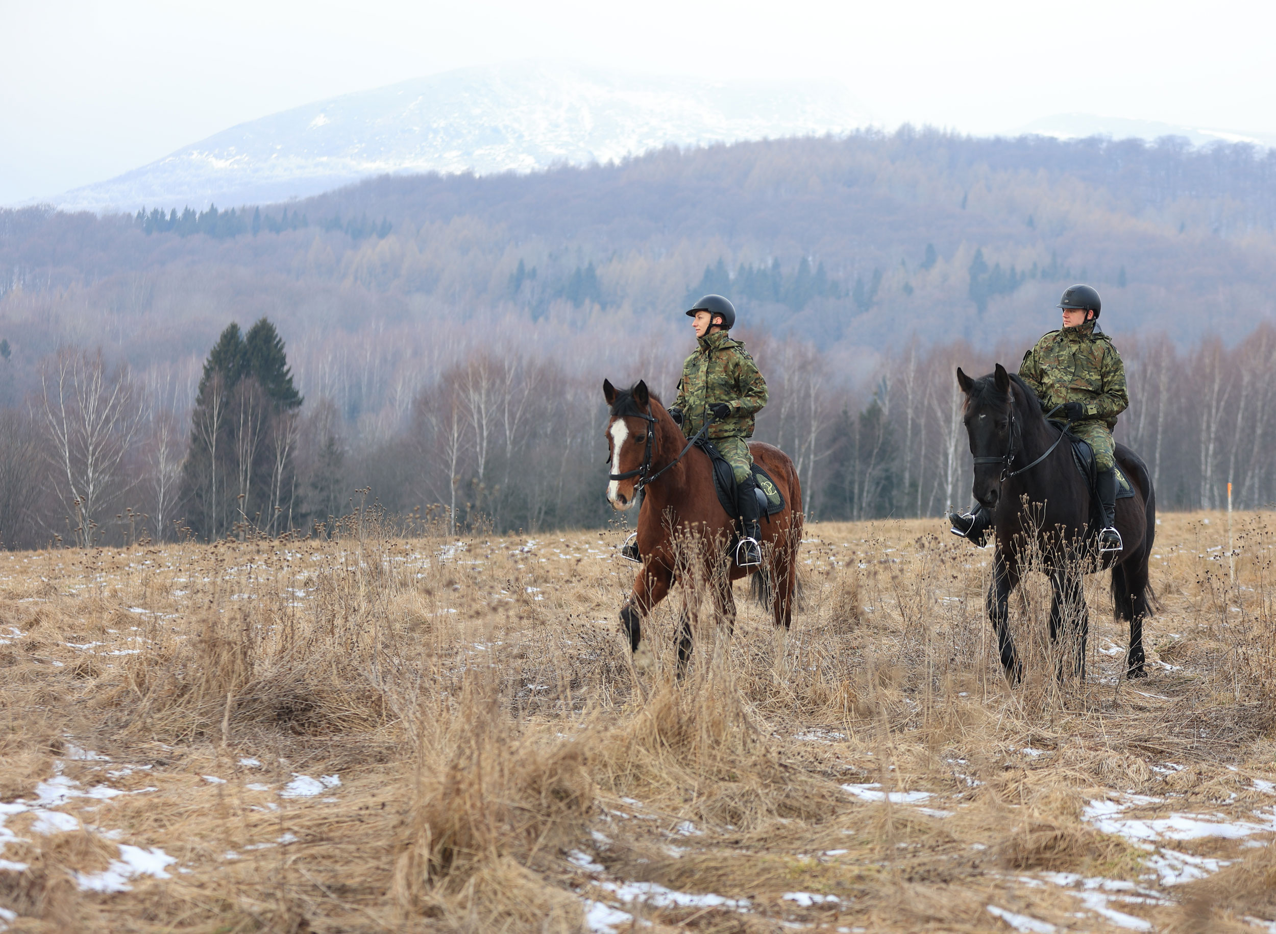 Funkcjonariusze podczas konnego patrolu